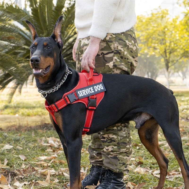 狗绳子现货  狗狗牵引绳 中型大型犬拉布拉多背心式宠物胸背带