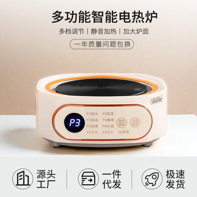 新款多功能电陶炉电热炉迷你小型600W智能电磁炉煮茶器可一件代发