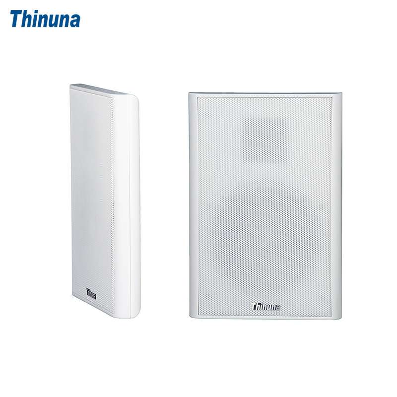 Thinuna XS-25 薄身平板音箱学校餐厅办公室背景音乐喇叭音响设备
