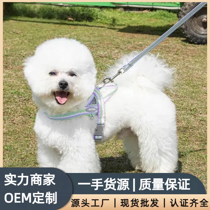狗狗牵引绳遛狗绳小狗胸背带中小型犬泰迪比熊柴犬栓狗绳子狗链条