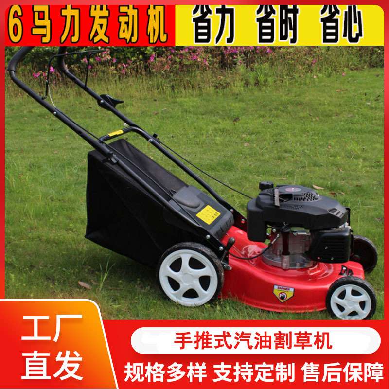 草坪机汽油机 手推车式园林6hp割草机 家用自走式草坪修剪机