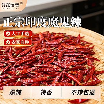 印度魔鬼干辣椒特香特辣干货磨粉剪段100g