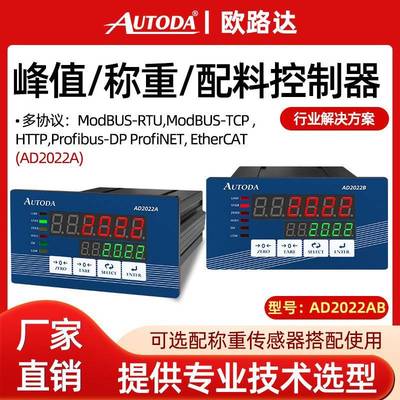AD2022A/B灌装配料称重控制仪表Profibus-DP协议可配测力软