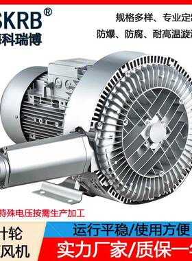 现货2NB920H1712.5KW380V366m³/H吹吸两用漩涡高压风机