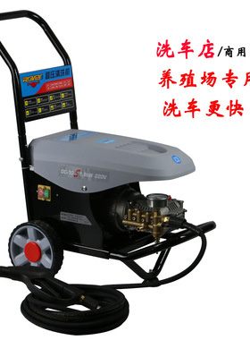 电动清洗机RF-1010洗车机手推220V水枪自助洗车水泵工具