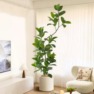 仿真绿植仿生植物孟加拉榕树盆栽室内大型高端轻奢树客厅落地装饰
