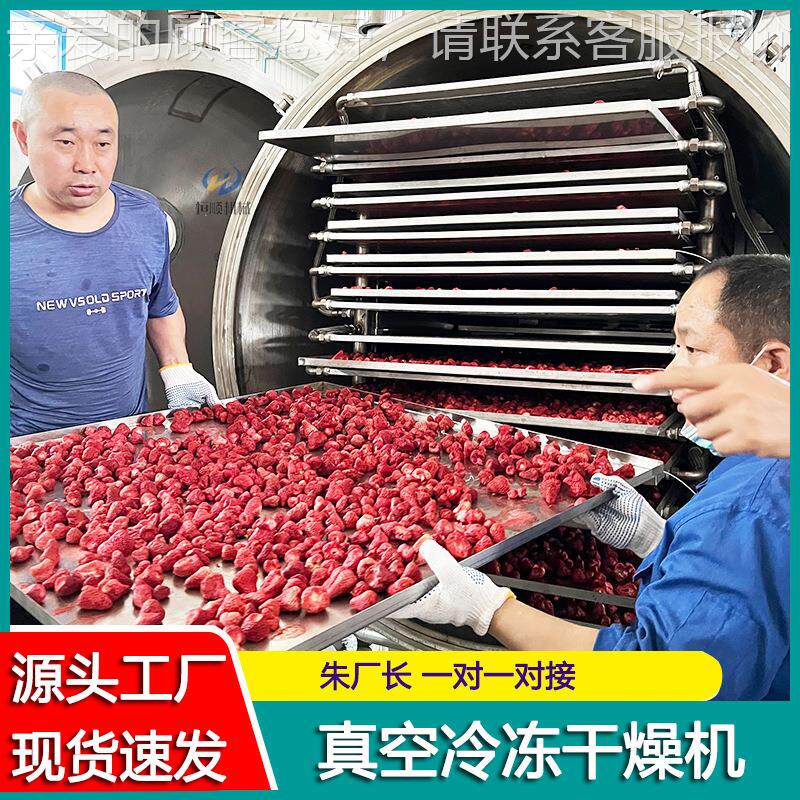 越南芭蕉真空冻HSDG-5干机杨梅温饮料粉低冷虾干燥机南极冻磷小型
