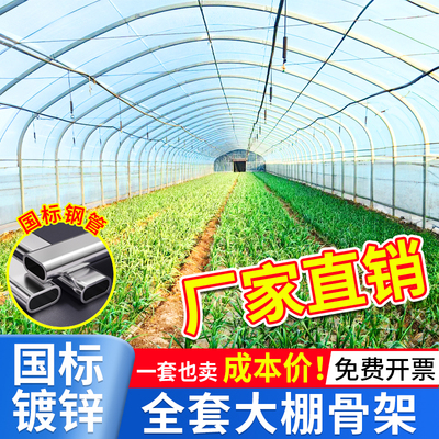 大棚钢管骨架全套定制养殖草莓种植暖棚镀锌椭圆管温室蔬菜保温棚