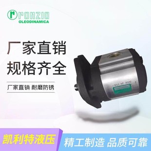 罗茨油泵RONZIO齿轮泵03ZAG20CO48S