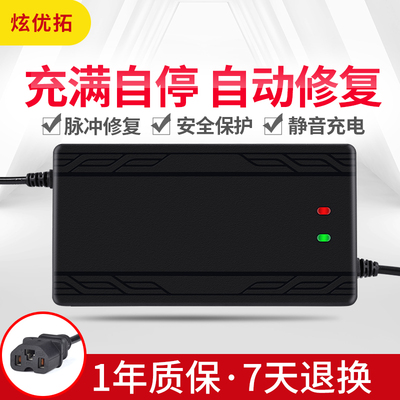 天能电池电瓶电摩电动车专用充电器48v12ah60v20ah72v120防水精品