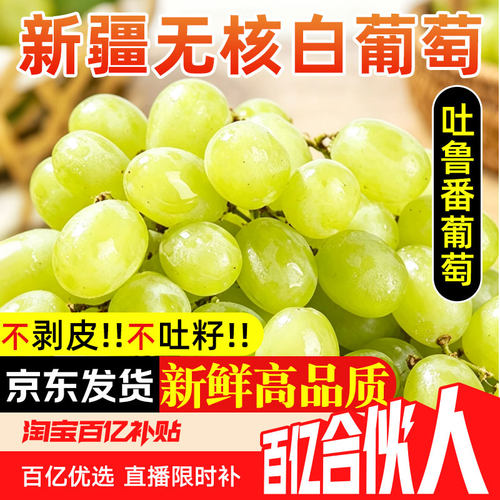 新疆无核白小蜜蜂葡萄当季新鲜水果无籽青提整箱脆甜爆汁京东包邮