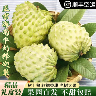 新鲜凤梨牛奶释迦果5斤大目释迦尼佛头果冰淇淋番荔枝特大果现摘