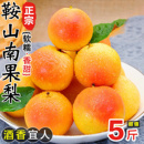 鞍山南果梨5斤 南国梨海城东北特产香水梨子新鲜冻梨孕妇水果 包邮