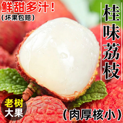 广东茂名桂味荔枝新鲜应季新鲜水果白糖桂花味香罂荔枝京东包邮