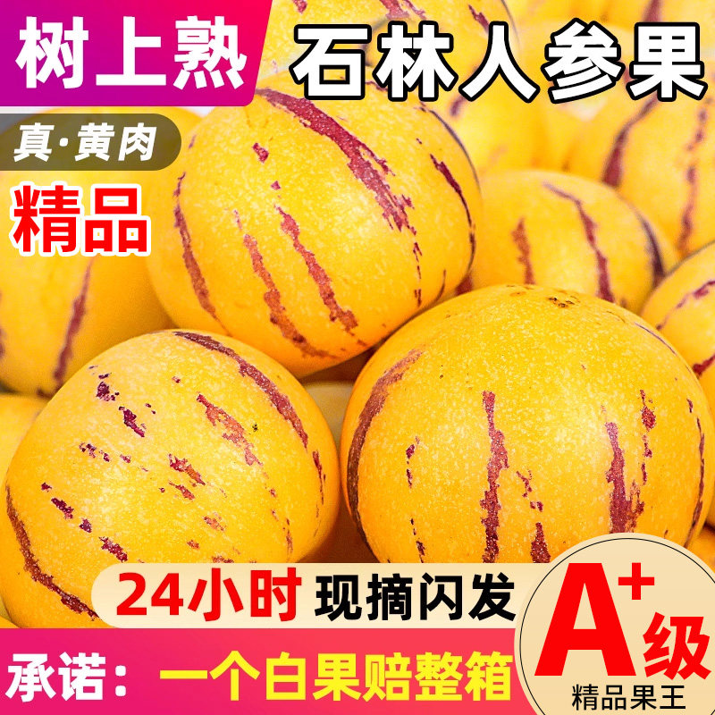 人参果新鲜水果云南石林树上熟人叁果圆果人生果5斤低糖黄肉大果