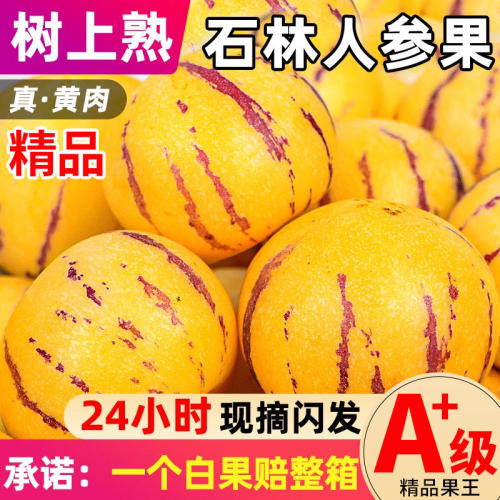 人参果新鲜水果云南石林树上熟人叁果圆果人生果5斤低糖黄肉大果