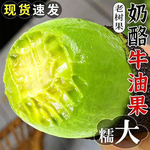 秘鲁进口牛油果哈斯新鲜水果官方旗舰店孕妇鳄梨熟10个大果奶油味