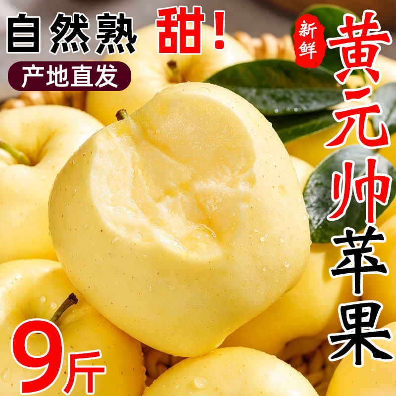 正宗黄元帅苹果新鲜水果应当季粉面黄金帅大连黄香蕉平果整箱包邮