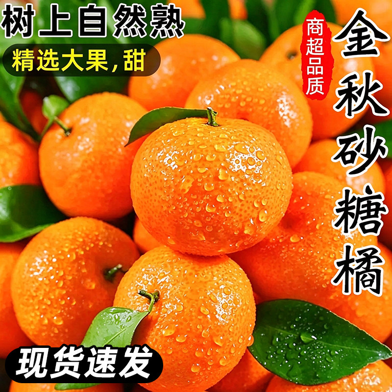 正宗云南砂糖橘金秋沙糖桔小橘子无籽新鲜水果当季小桔子整箱包邮