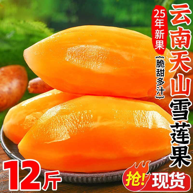 天山雪莲果12斤新鲜水果应当季云南孕妇红心雪连果黄心特整箱包邮