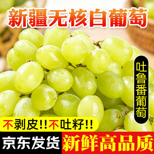 新疆无核白小蜜蜂葡萄当季新鲜水果无籽青提整箱脆甜爆汁京东包邮