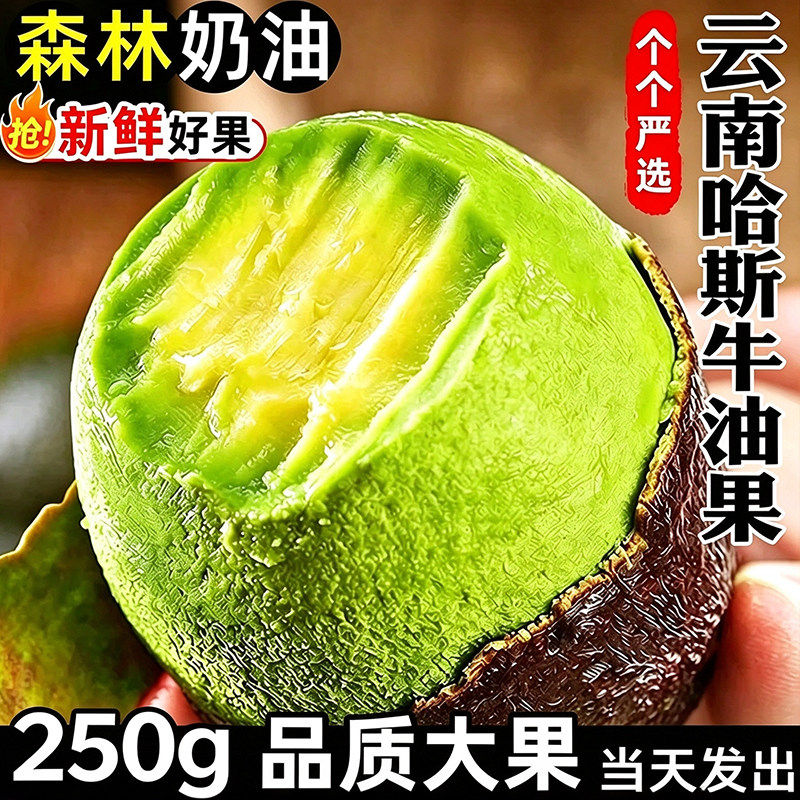 云南哈斯新鲜牛油果250g大果8个新鲜水果当季包邮催熟透即食水果