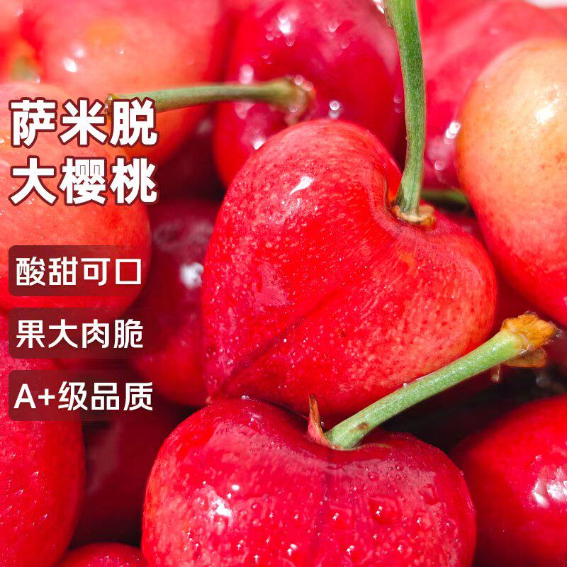 山东萨米脱大樱桃车厘子新鲜当季水果果大肉脆酸甜可口箱装包邮