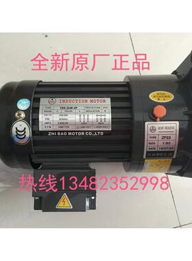 YS0.2KW-4P ZF22 1:90 ZL22 ZHI BAO MTORO 电机 马达 上海至宝