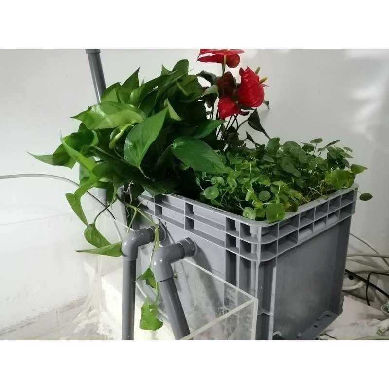 沼泽过滤箱盒器外置周转箱鱼缸鱼池乌龟缸专用鱼菜共生养殖饲养箱