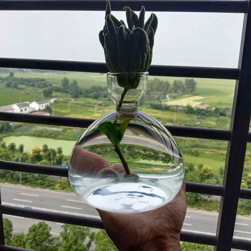 佛手柑水a培瓶子佛手水培透明玻璃容器养佛手柑小花瓶禅意风中式