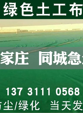 绿色土工布工程布园林绿化工地防尘防沙盖土美化