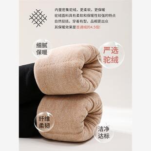东北超厚高腰一体保暖裤 加绒加厚打底裤 女冬季 特厚1000克驼绒棉裤