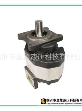 CB齿轮泵590855100F100680花左花右侧进侧出后进后出