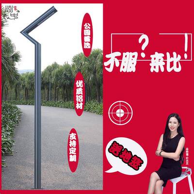 了字铝型材50w模组光源3.5米led景观灯含地笼户外侧发光花园灯