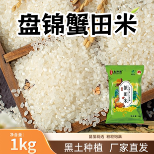 盘泽园盘锦蟹田米1kg产地直发袋装圆粒珍珠米2斤装优质大米