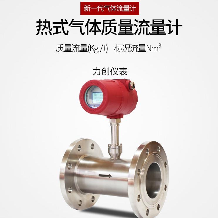 热式气体质量流量计插入式法兰微小气体氮气沼气压缩空气流量计