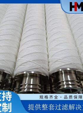 过滤器滤芯DP-VFS脱脂棉FC3140-611B不锈钢304骨架端盖