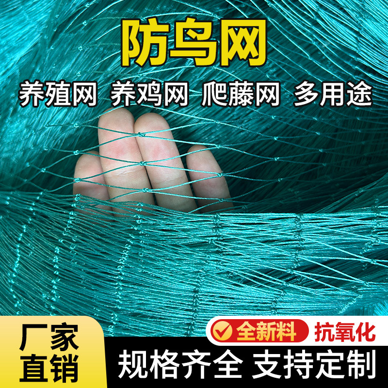 防鸟网养殖天网大棚网尼龙网果园网鱼塘网养鸡天网爬藤网