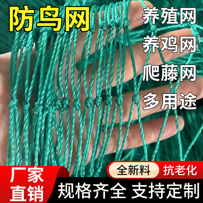 防鸟网果园养殖专用天网大棚尼龙网加密网鱼塘网爬藤网防护栏鸡网