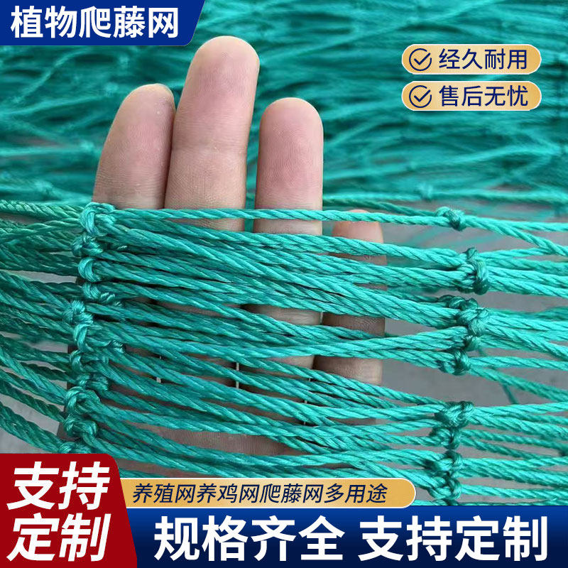 植物爬藤网养殖天网大棚网尼龙网果园网鱼塘网养鸡天网防鸟网