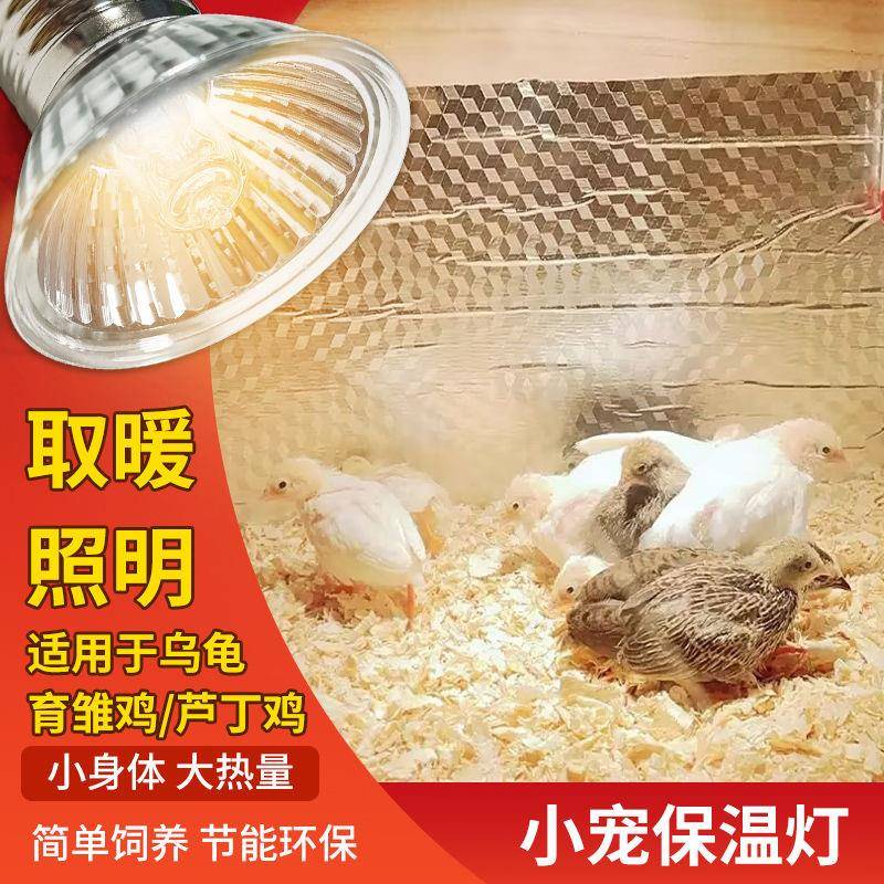 芦丁鸡保温灯小鸡育雏取暖灯宠物爬宠加温灯养殖场专用控温加热灯