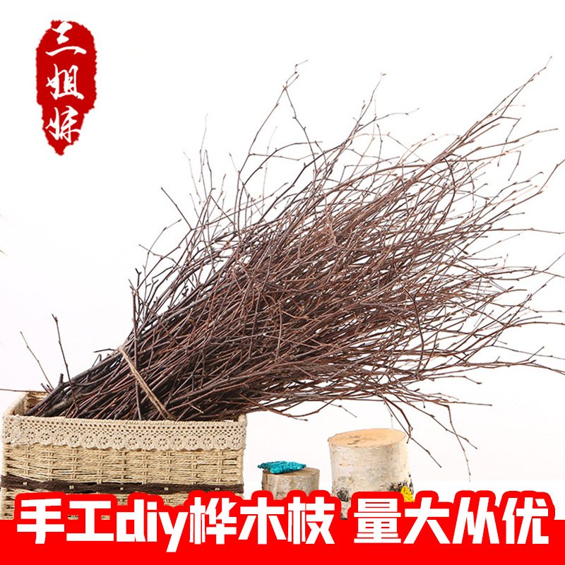 红桦树枝工艺品原料插花桦木杆1kg幼儿园手工DIY桦木枝森系装饰