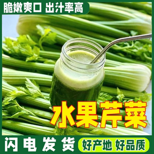 水果西芹刺身榨汁專用山東壽光產(chǎn)地直發(fā)現(xiàn)采現(xiàn)發(fā)優(yōu)質(zhì)榨汁生吃涼拌