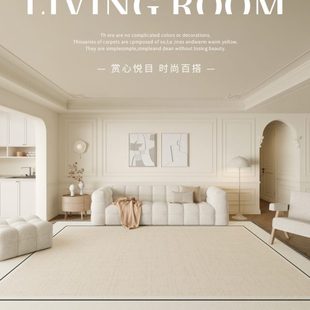 现代风防水防污轻奢高级感圈绒家用沙发免洗可擦 地毯客厅2024新款