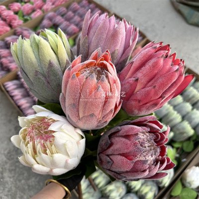 单枝大帝王花 仿真花南非帝王针垫花霸王花家居摆放软装花艺插花