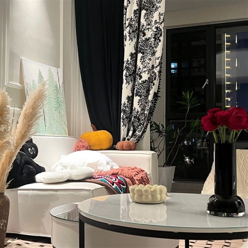 超酷暗黑色丝绒窗帘轻奢法式复古高遮光客厅阳台书房卧室小众黑白