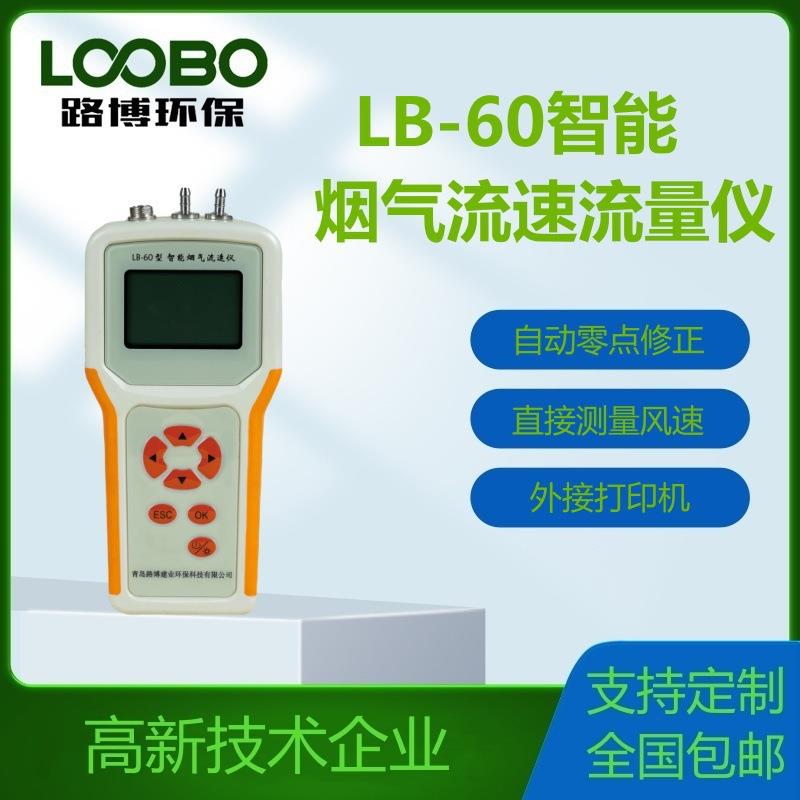 孔口流量计烟尘流速流量检测仪烟尘流速仪