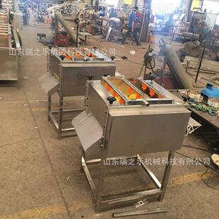 动生蚝平喷行毛刷清洗机全自海螺洗JIY机柚子平行清洗设备自动清