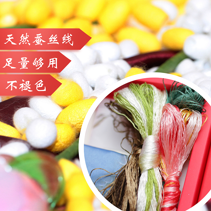 苏绣刺绣DIY套件初学针迹扫描花卉蝴蝶手工自学装饰画苏州材料包图片