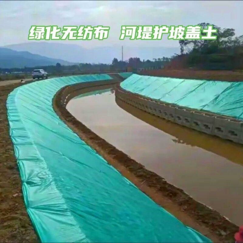护坡种草绿化无纺布边坡绿化农用透气种植覆盖膜工地绿网工程用